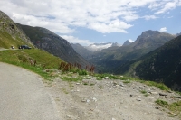 Thumbnail of DSC02703.JPG