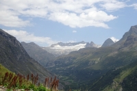 Thumbnail of DSC02704.JPG