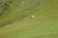 Thumbnail of DSC02710.JPG