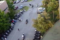 Thumbnail of DSC02782.JPG