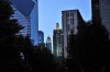 Thumbnail of 7A Chicago Evening 10.jpg